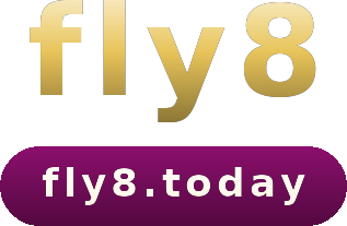 fly8 logo